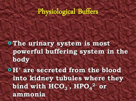 Anatomy And Physiology I Unit Two Ppt Download