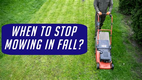 When To Stop Mowing Lawn In Fall Here Is The Answer