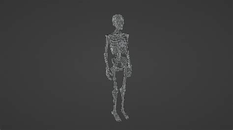 3d Model Voxel Skeleton Vr Ar Low Poly Cgtrader