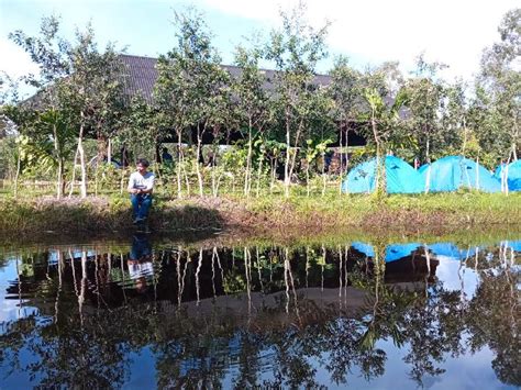 Kampung Gelam Wisata Herbal Privat Di Antara Danau Dan Tanaman Obat