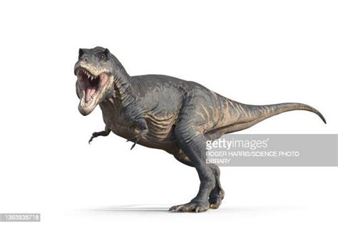 Bipedal Dinosaur Foto E Immagini Stock Getty Images