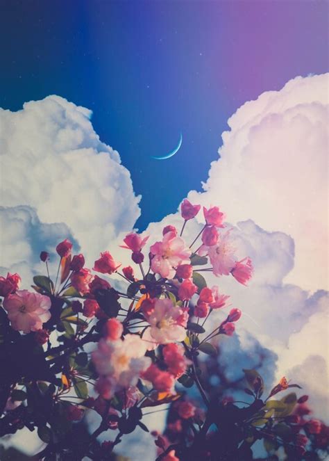 Aesthetic pink Flowers crescent moon clouds blue sky | Plakaty, Obrazy ...