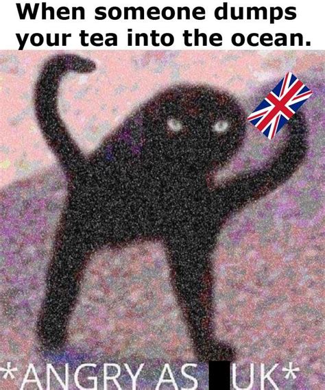 an image of a black cat with the caption when someone dumps your tea into the ocean