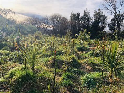 Friends of Green... - Friends of Green Lane Park, Shirley B90