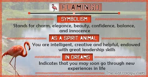 Flamingo Meaning And Symbolism The Astrology Web Flamingo Meaning