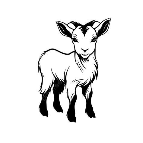 Outline Of Funny Pygmy Goat, Pygmy Goat, Outline, Cartoon PNG ...