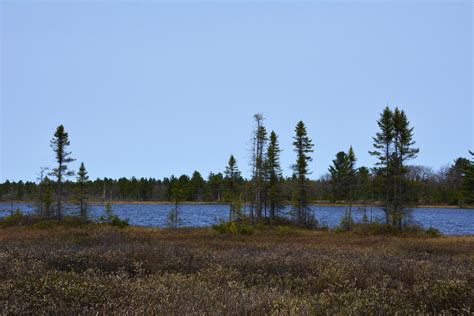 Torrance Barrens Conservation Reserve 3924 Southwood Road Flickr