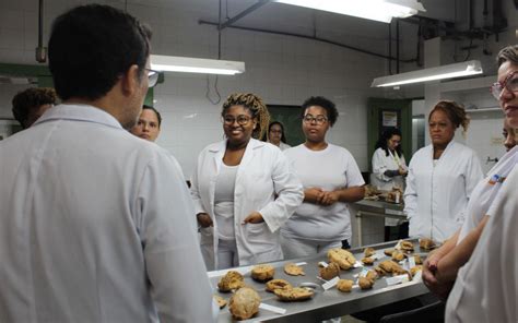 Alunos Do Curso T Cnico Em Enfermagem Da Fundec Visitam Museu Da Ufrj