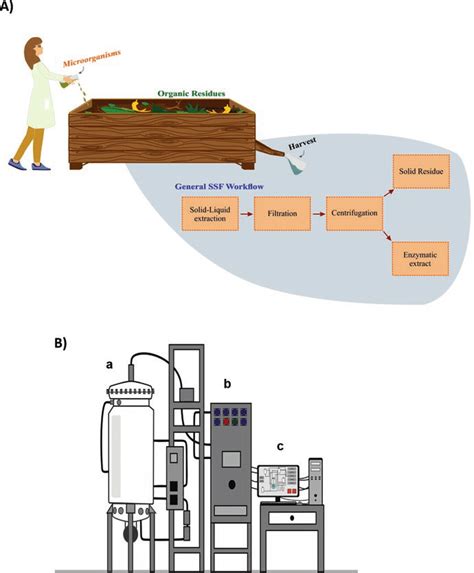 6 Microbial Production Of Enzymes Under Solid State Fermentation SSF