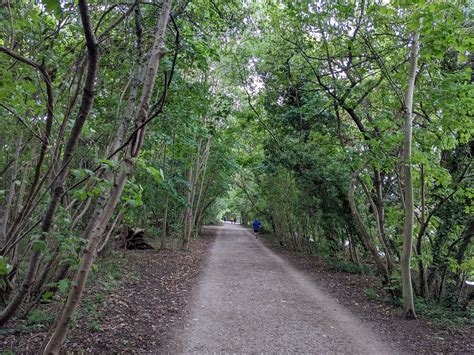 Thames Path Between Barnes Bridge Hammersmith Bridge Flickr