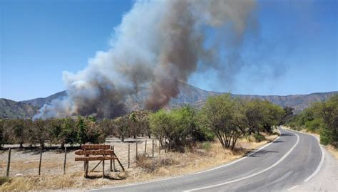 Activo Y Con Alerta Roja Se Mantiene Incendio Forestal En Sector