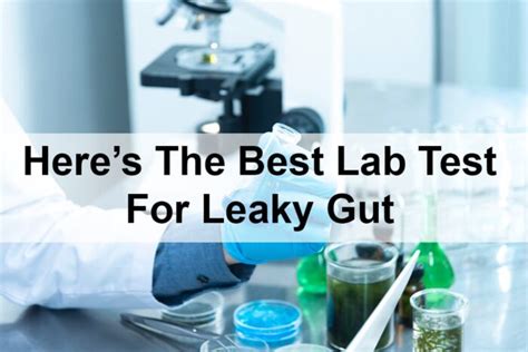 The Best Lab Test For Leaky Gut Functional Medicine Sibo Ibs