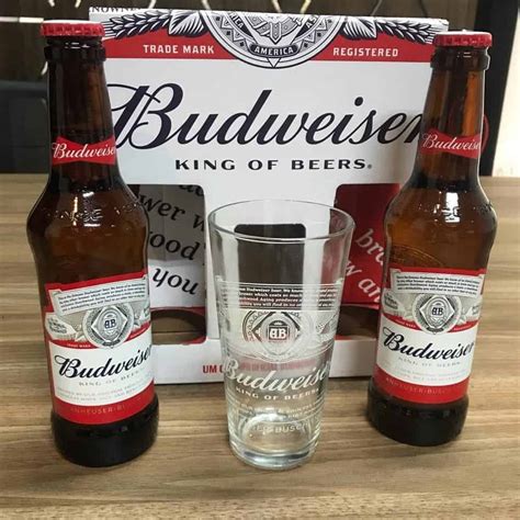 Kit Cerveja Budweiser 2 Unidades 330ml Copo Promotop