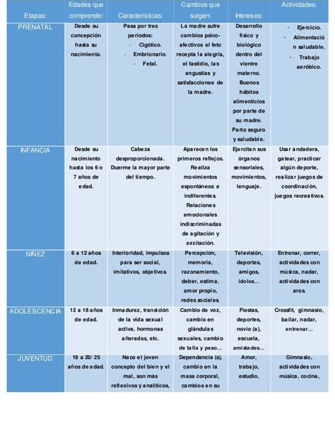 Cuadro Comparativo Etapas Del Desarrollo Kulturaupice