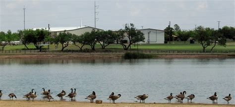 Gordon Lake And Oscar Park 1201 N Jackson Ave Iowa Park