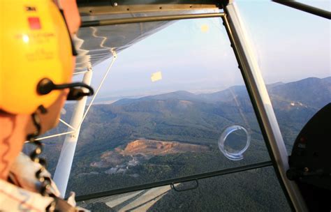 Flugzeug kollidiert mit Bäumen