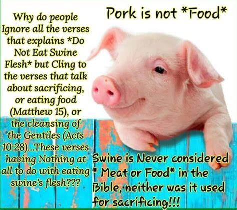 Why Do People Pork Is Not Food Ignore All The Verses That Explains