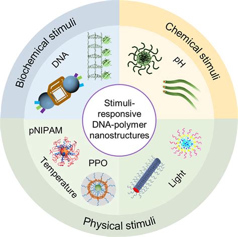 Schematic Illustrations Of Different Types Of Stimuliresponsive