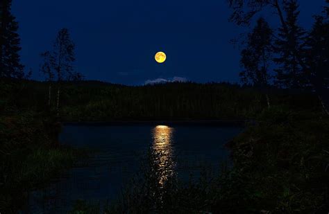 1080P Descarga gratis Luna llena sobre el río del bosque noches