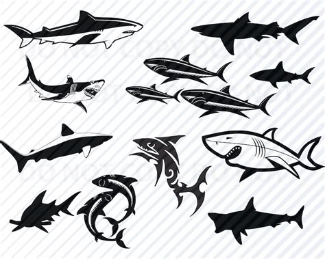 Shark Svg Bundle Sharks Svg Vector Images Great White Clip Art For