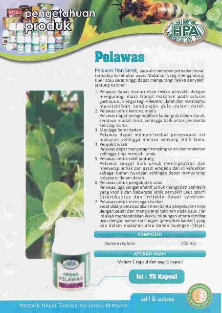 herba penawar alwahida pelawas  serat obat herbal alami
