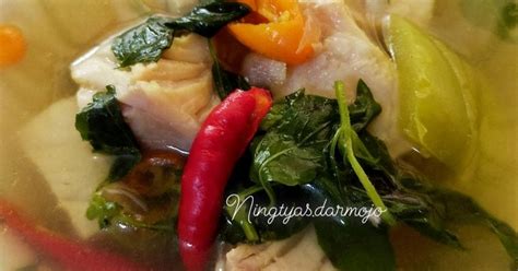 Resep Sop Ikan Kakap Fillet Oleh Ningtyas Darmojo Cookpad