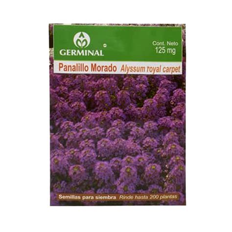 Semillas De Panalillo Morado Germinal 125 Mg Supermarket 23 Es Una