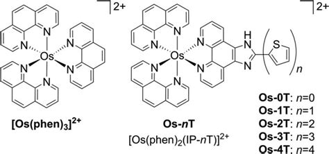 Osmium Complex For Photochemotherapy A New Way To Win With Hypoxic