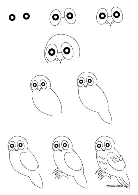 Trends For Step By Step Beginner Step By Step Easy Owl Drawing