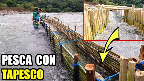 T Cnica Ancestral De Pesca La Pesca Con Tapesco Esta Desapareciendo En