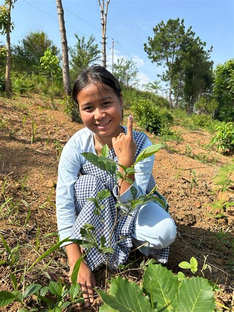 Election Commission Of India SVEEP On Twitter Voters Plant A Sapling