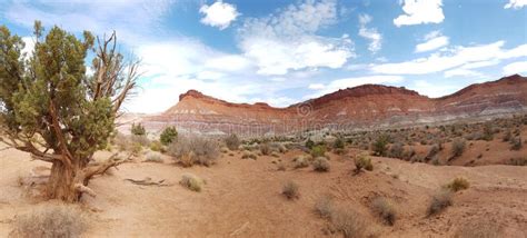 Mesa and Desert Landscape, Utah Stock Photo - Image of blue, country ...