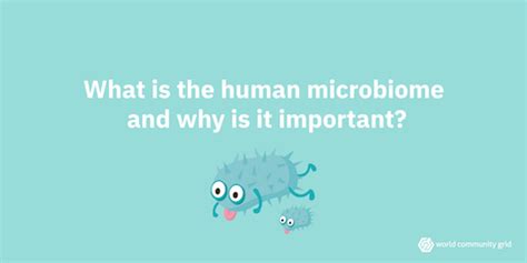 May Update: Microbiome Immunity Project