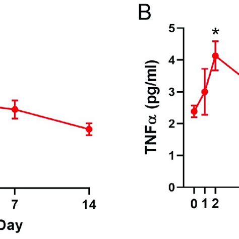 Serum Il 6 And Tnfα Levels After Tka Levels Of A Il 6 And B Tnfα