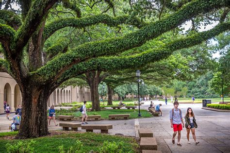 Lsu Student Health Center