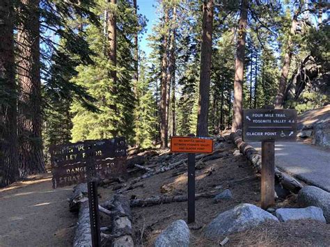 13 Best Easy Hikes In Yosemite National Park