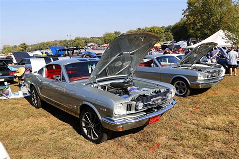 Huge Car Show at the Holley Ford Fest | Car in My Life