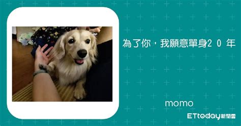 Bymomo 貓奴狗僕 撩寵語錄 撩寵金句大募集 心動瞬間通通撩進心坎裡 Ettoday新聞雲