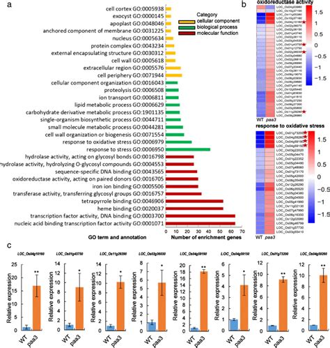 Transcriptome Analysis Go Enrichment Term A Comparison Of Go