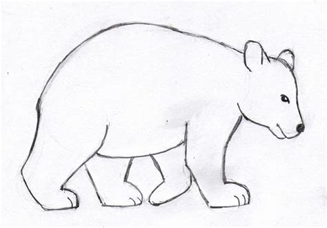 Bear Drawing – Step by Step | Art Starts