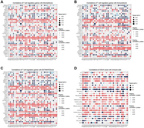 Pan Cancer Analysis Of T Cell Proliferation Regulatory Genes As