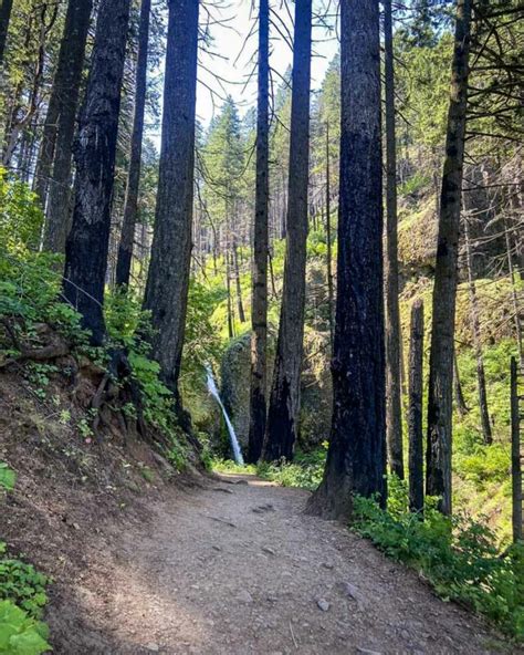 Multnomah Falls Hike: Oregon's Most Popular Waterfall - Go Wander Wild