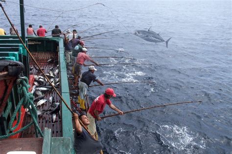 Ministerio De Producción On Twitter ¡comprometidos Con La Pesca