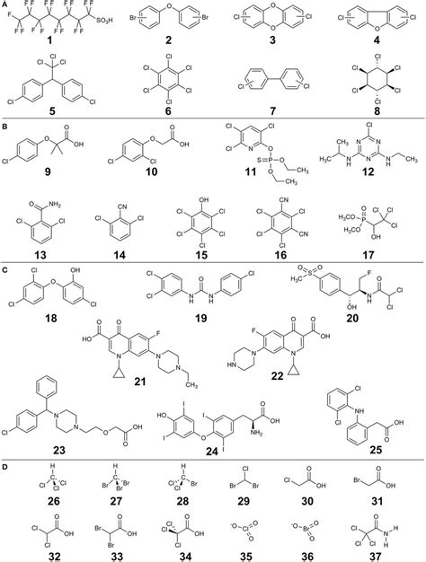 Organic Compounds Examples