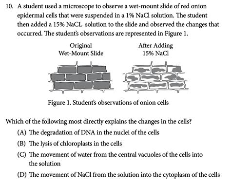 Ap Biology Chapter 7 Test