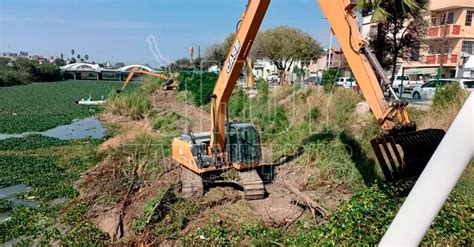 Hoy Tamaulipas Tamaulipas Reanudaron Limpieza De Lirio Acuatico En