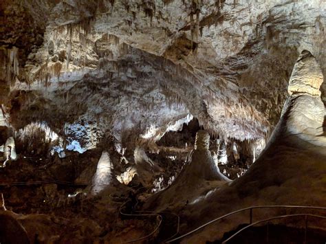 The Big Room, Carlsbad Caverns National Park (May 2019) : r/NationalPark