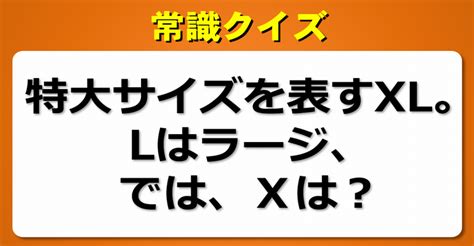 【常識クイズ】30連発！あなたの知識が試される一問一答問題！ 子供から大人まで動画で脳トレ 楽天ブログ