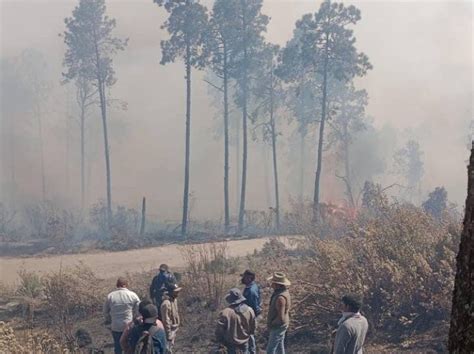 Van Cinco Muertos En Incendios Forestales En El Edomex La Visión De Nuestra Gente