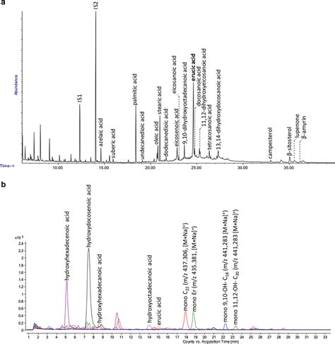 A Gc Ms Chromatograms Obtained After Saponification Extraction And Download Scientific